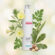 Интенсивно увлажняющий лосьон Cell Fusion C